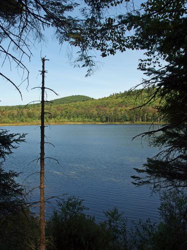 Frog Pond at Pillsbury State Park in New Hampshire