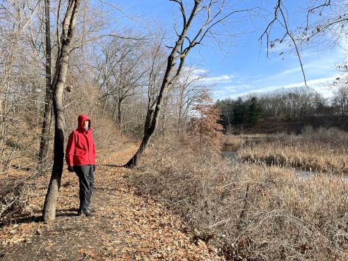 path in January at Joyce Park in Nashua NH