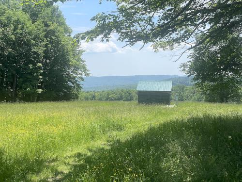 Trela Shelter in June at Judges Hill in western MA