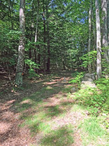 trailhead to Juggernaut Pond Trail in southern New Hampshire