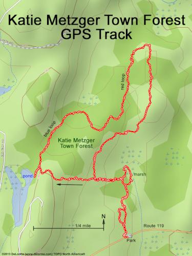 Katie Metzger Town Forest gps track