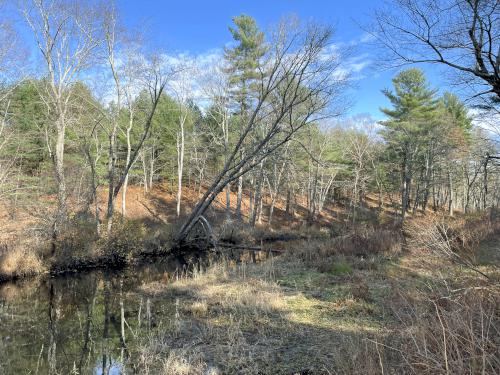 Beaver Brook at Kendall Pond in southern NH