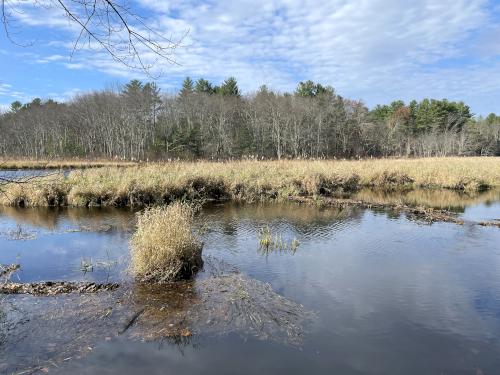 Pond view at Kendall Pond in southern NH