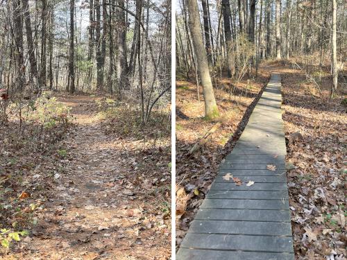 trails at Kendall Pond in southern NH