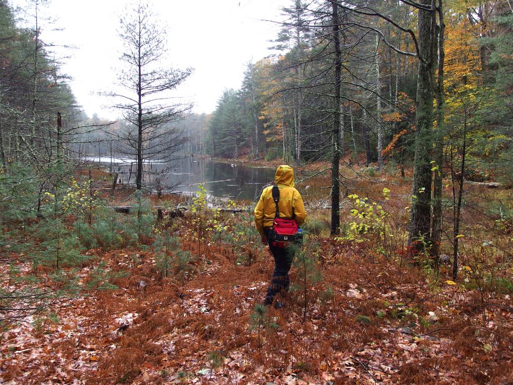 Dick checks out a secluded pond in October on the way to Kennard Hill in southeastern New Hampshire