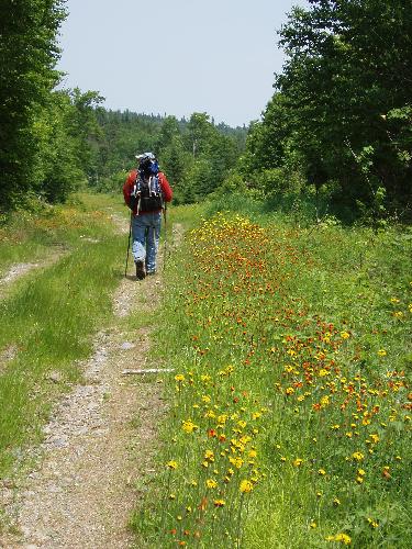 bushwhack to East Kennebago Mountain in Maine