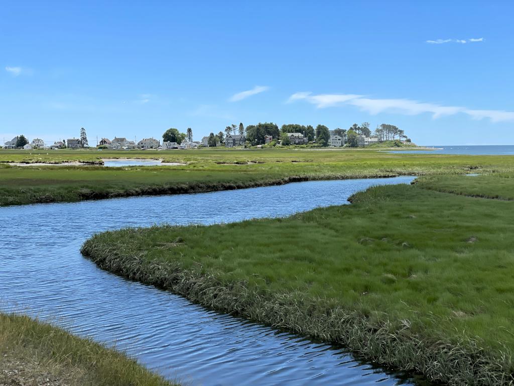 view in June of the Great Hill houses from the Kennebunk Bridle Path in southern Maine