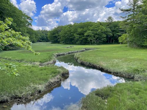 view in June at Kennebunk Bridle Path in southern Maine