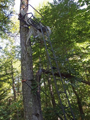 deer hunting platform on Kennedy Hill in southern New Hampshire