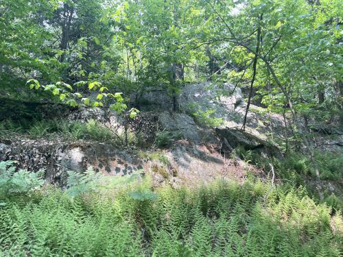 cliff in June at Kettle Pond and Spice Mountain in northern VT