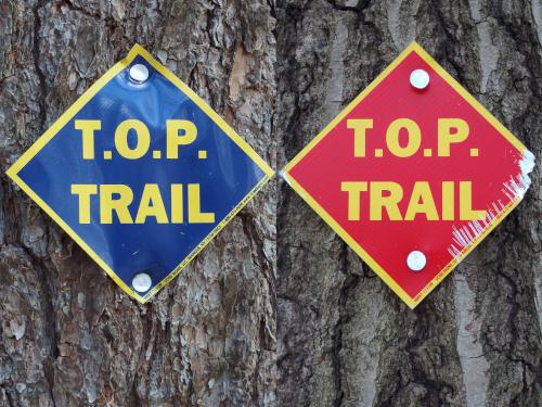 cute trail blazes being attacked by nature at Keyes Farm in Pepperell, MA