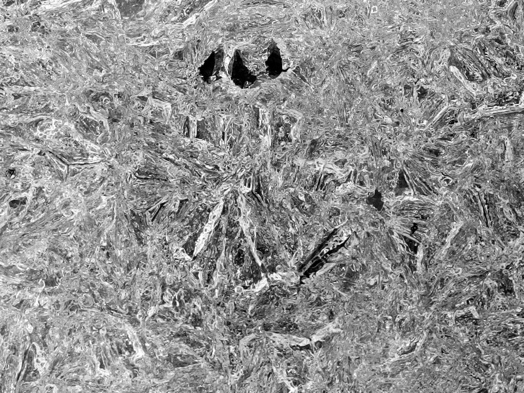 freeze-thaw cycles in mid-March create neat ice crystals on the trail at Keyes Farm in Pepperell, MA