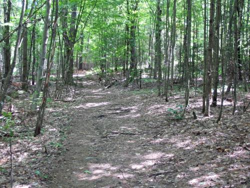 trail to Kilburn Crags in northern New Hampshire