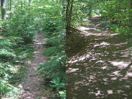 trails at Kimball Pond near Dunbarton, New Hampshire