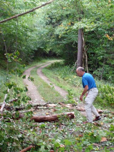 Hubbard Brook Road to Mount Kineo in New Hampshire