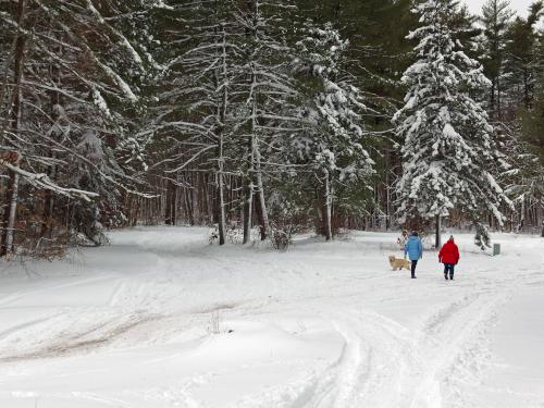 entrance in February to Kingston State Park in southeast New Hampshire