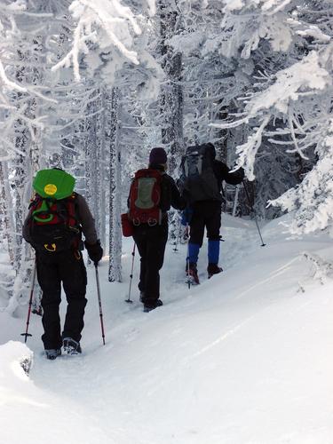 hikers ascending the Mount Kinsman Trail in New Hampshire