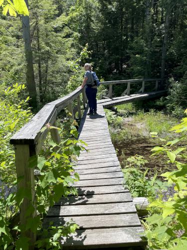 foor bridge in June at Knights Pond Conservation Area near Wolfeboro in New Hampshire