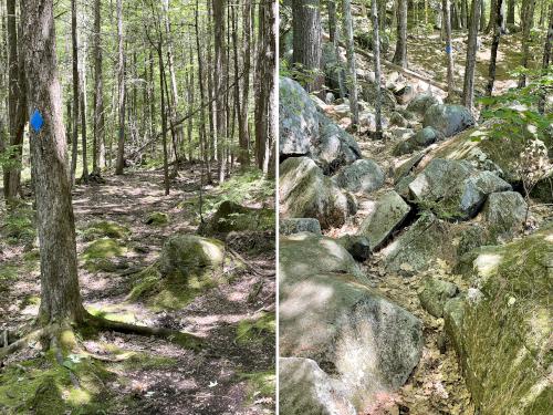 trail in June at Knights Pond Conservation Area near Wolfeboro in New Hampshire