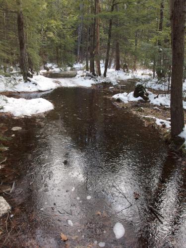 Robertson trail in December at Knox and School Forests near Bow in southern New Hampshire