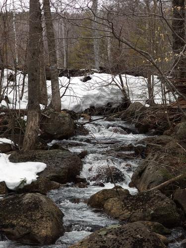 Bailey Brook and beaver dam along the Kulish Ledges Trail in southern New Hampshire