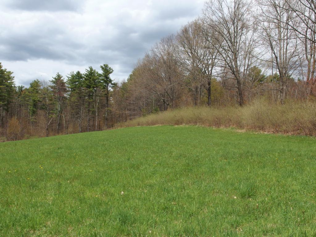 field in May at Lamson Farm in southern New Hampshire