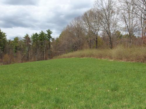 field in May at Lamson Farm in southern New Hampshire