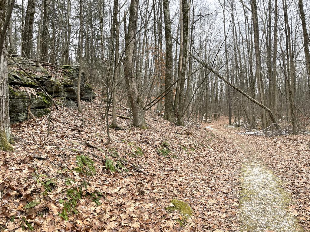 trail in January at Leffingwell Hill in western MA