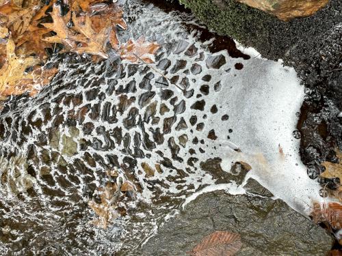 stream in November at Lily Pond near Keene in southwestern New Hampshire