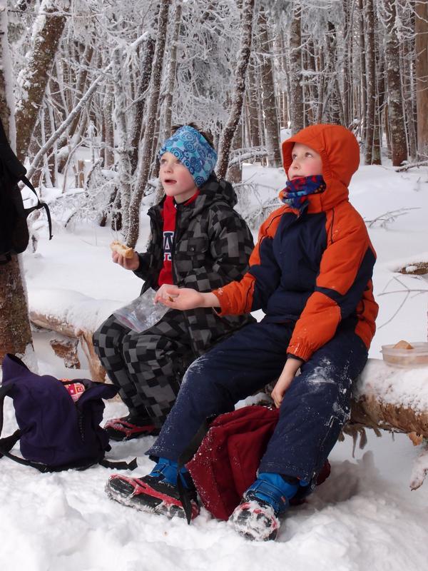 young hikers at lunch break with Gray Jays on the way to Mount Tom in New Hampshire