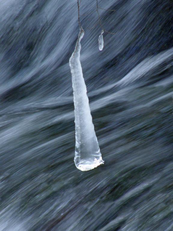 hanging icicle beside the trail to Mount Shaw in New Hampshire