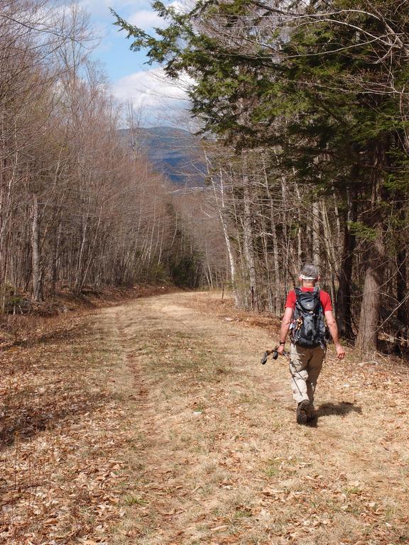 bushwhacker on the access road to Mount Weetamoo in New Hampshire