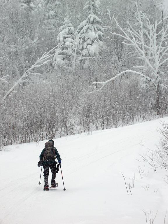 winter hiker on the trail to Tumble Dick Mountain in New Hampshire