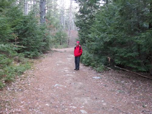 trail in April at Litchfield State Forest in southern New Hampshire