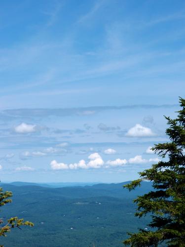 patch of ferns in the woods on the buwhshack to Little Mountain on the shoulder of Mount Kearsarge in New Hampshire