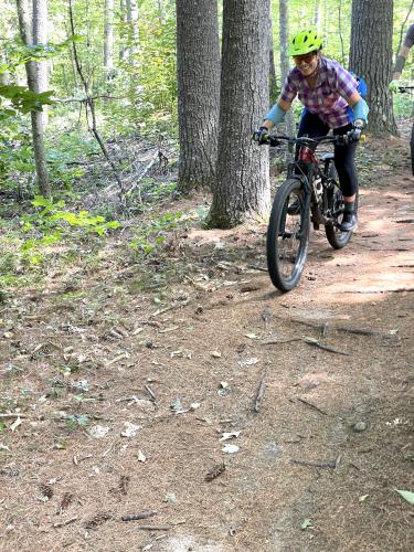 biker in August on Little Bear Trail at Bear Brook State Park in southern NH