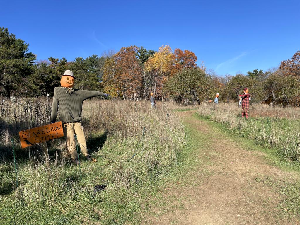 Scarecrow Street in November at Long Hill in northeast Massachusetts