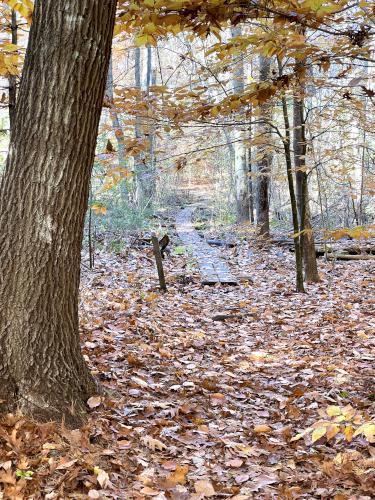 trail in November at Long Hill in northeast Massachusetts