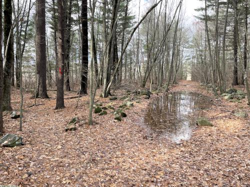 bypass in November at Long Lake Park in northeast Massachusetts