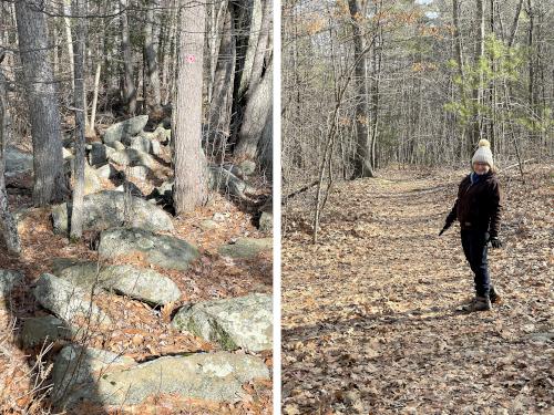 trails in December at Long Pond Trail in northeast MA