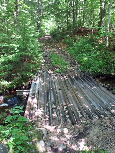 forest-road section of Conant Trail loop over Pine, Lord and Harndon hills in western Maine