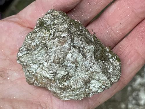 chesterite in September at Lost Mine Trail in southern Vermont