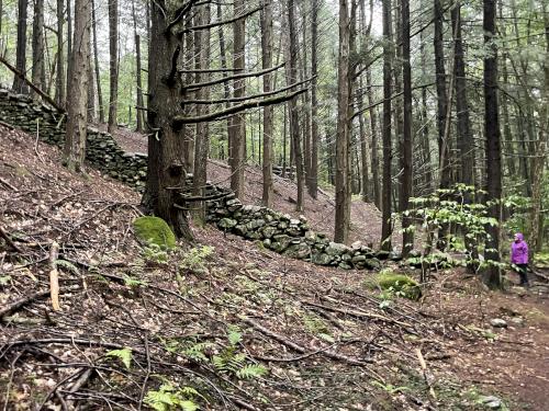 stone wall in September at Lost Mine Trail in southern Vermont