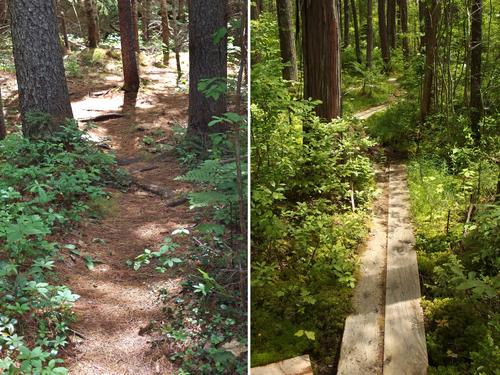 trails at Loverens Mill Preserve in southern New Hampshire