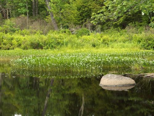 North Branch of the Contoocook River at Loverens Mill Preserve in southern New Hampshire