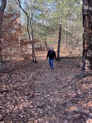 trail in December at Lowell Holly Reservation on Cape Cod in eastern Massachusetts