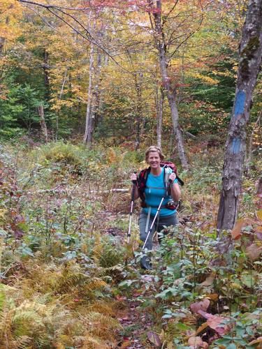 Gwen hike up from a muddy section of the Five Summers Trail on the way to Lucia's Lookout in New Hampshire