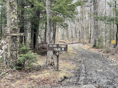 Bear Pond Trail in May at Lucia's Lookout South in southern New Hampshire