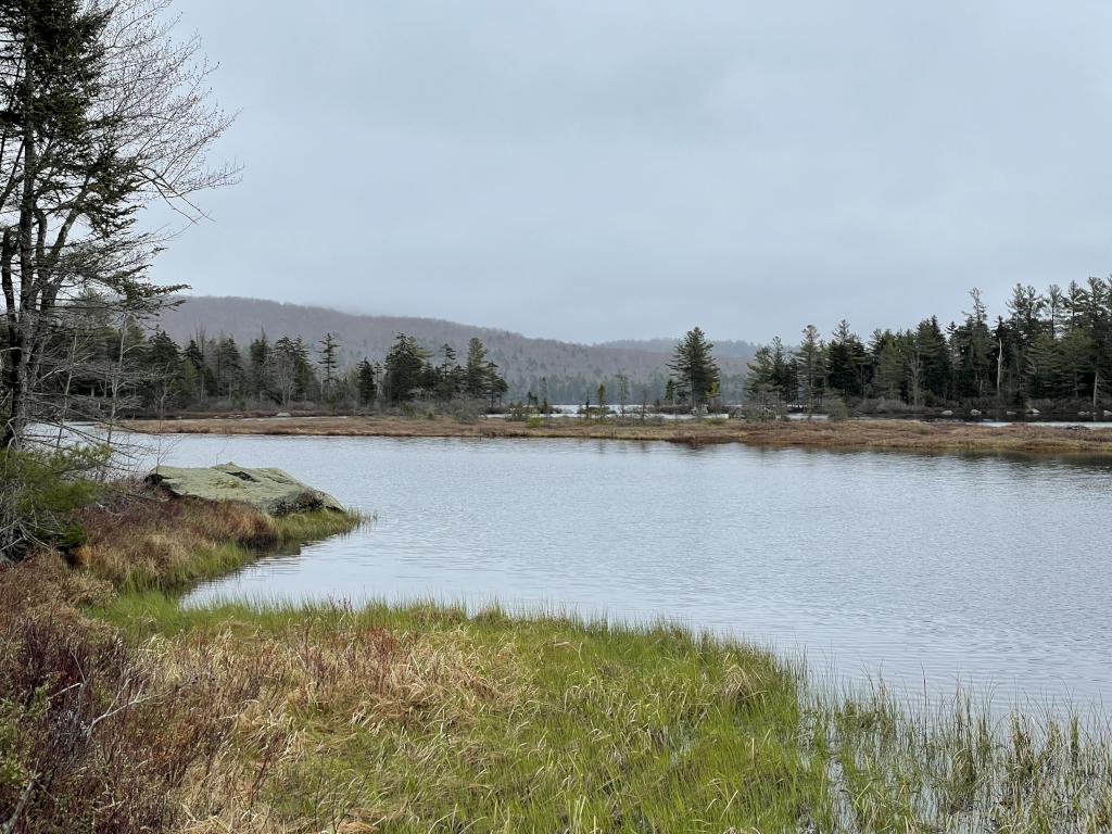 May Pond at Pillsbury State Park in May near Lucia's Lookout South in southern New Hampshire