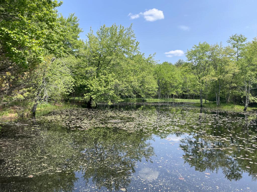 Lunden Pond in May at near Monson in south-central MA